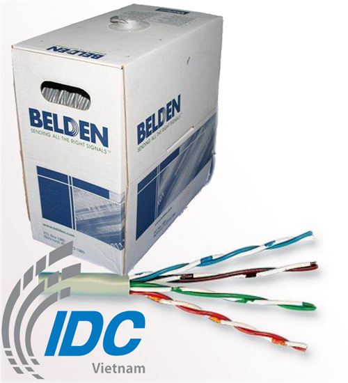 Belden Cat 5e UTP 4 Pair Cable|1583A